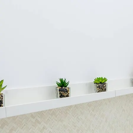 Estilo Y Confort, Marina Primavera 88